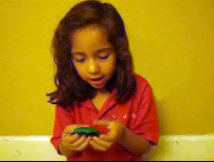 Videative Views Video